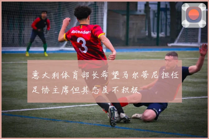 意大利体育部长希望马尔蒂尼担任足协主席但其态度不积极